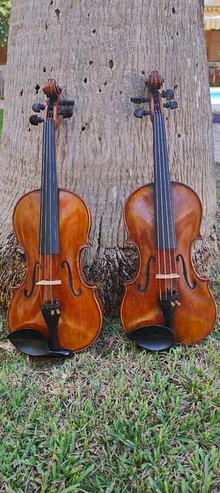 Violín 4/4 patrón Guarneri del Gesu.