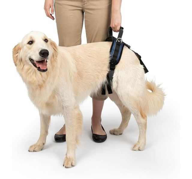 Arnés ortopédico para perros