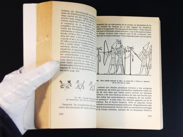 LIBRO - Mitología Egipcia