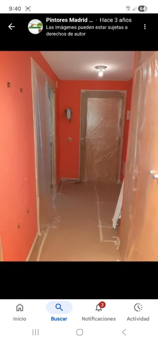 Pinturas y decoración