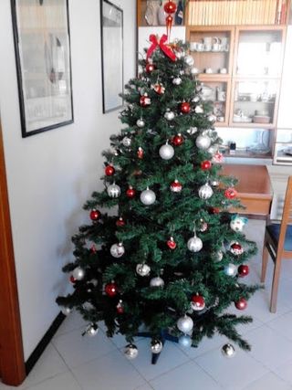 Albero di natale 🎄