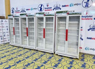 NEVERA AFANEH DE 2 PUERTAS DE 1,18M