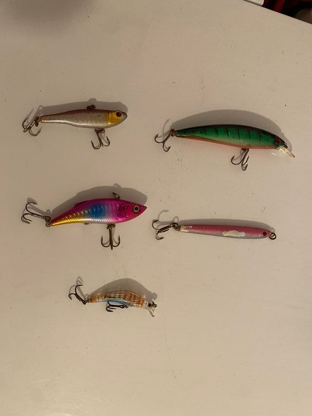 Esche artificiali spinning pesca