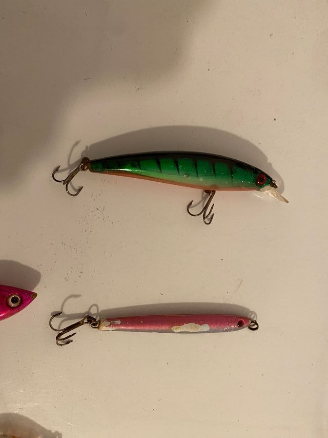 Esche artificiali spinning pesca
