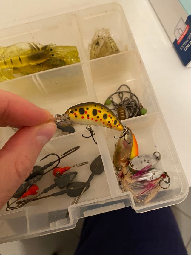 Esche artificiali light spinning edging