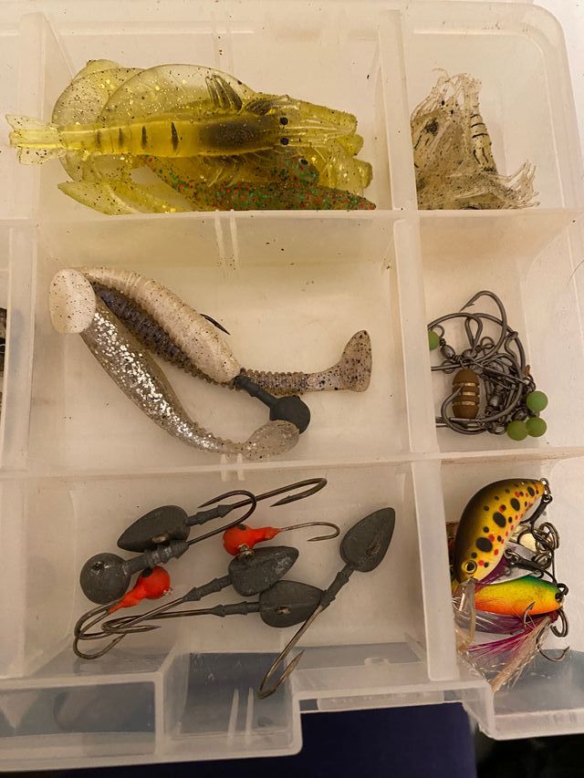 Esche artificiali light spinning edging