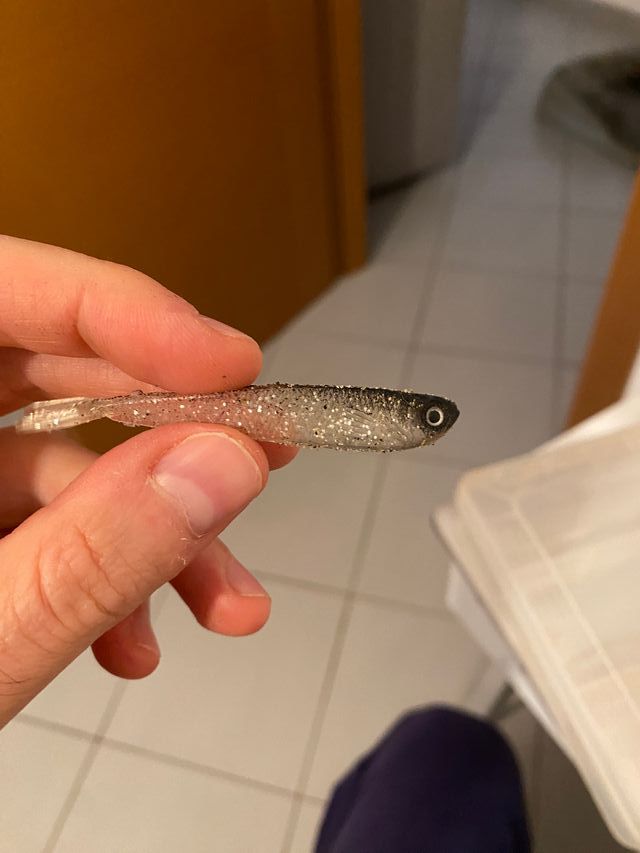 Esche artificiali light spinning edging