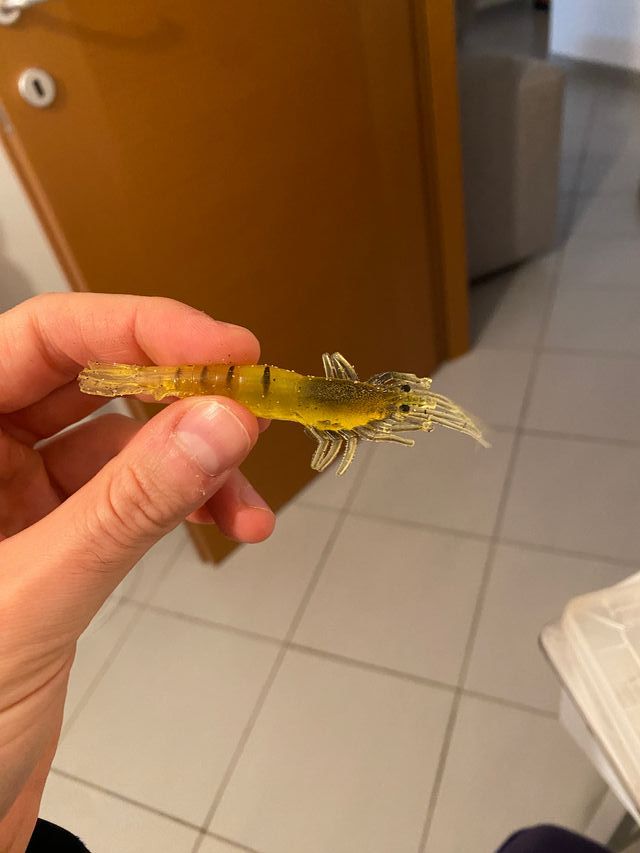 Esche artificiali light spinning edging