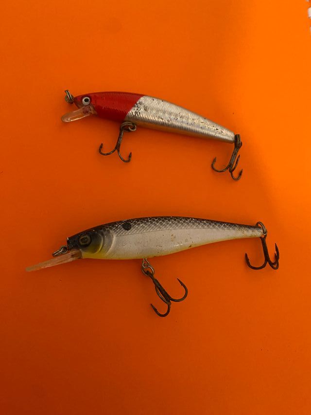 Esche artificiali spinning pesca