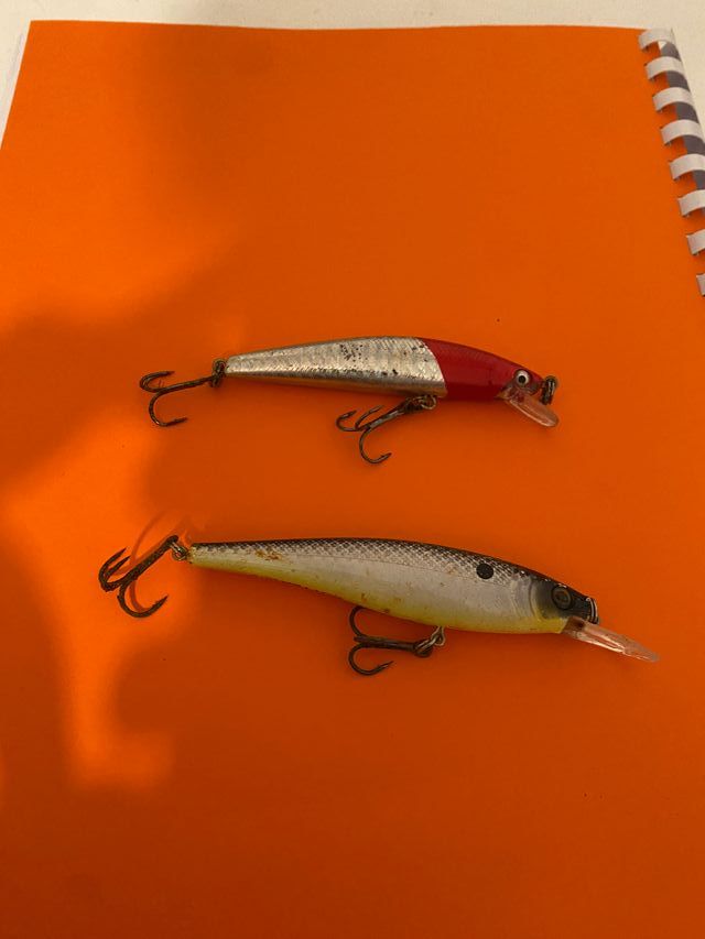 Esche artificiali spinning pesca