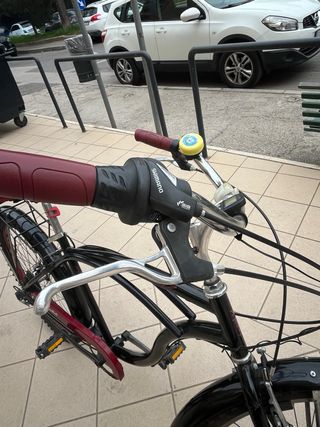 Bicicletta Americana Hanalulu