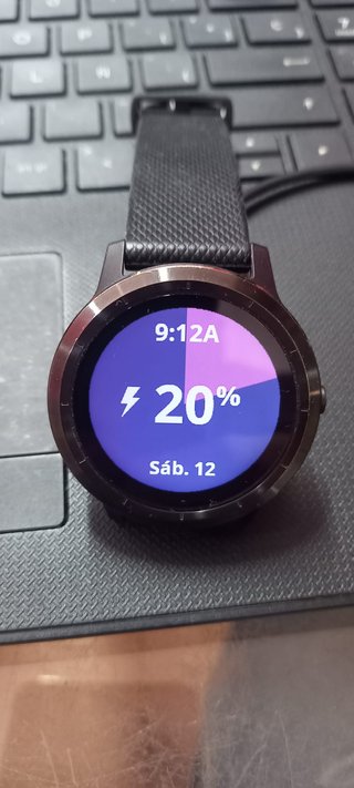 Reloj Garmin VIVOACTIVE 3