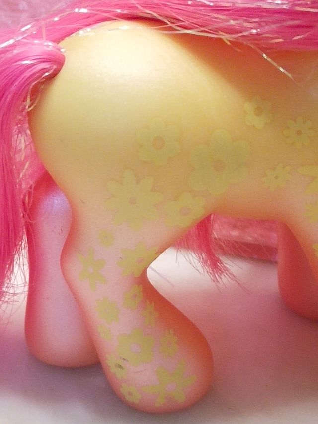 My Little Pony Hasbro 2005