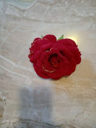 Fermatenda rosa rossa