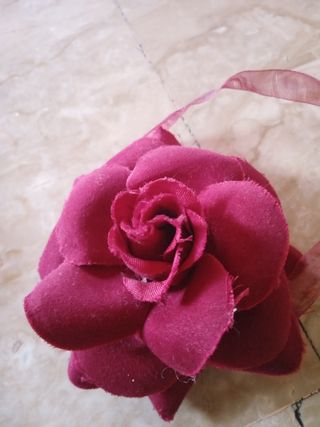 Fermatenda rosa rossa