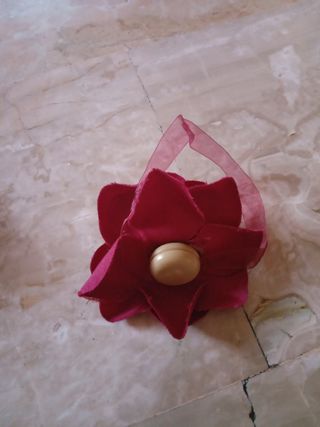Fermatenda rosa rossa