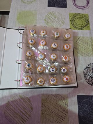 Chapas cava tgna