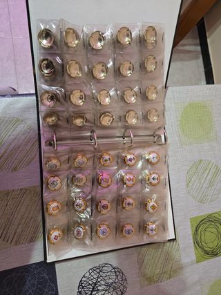 Chapas cava tgna