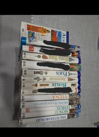 Guias visuales el Pais Aguilar