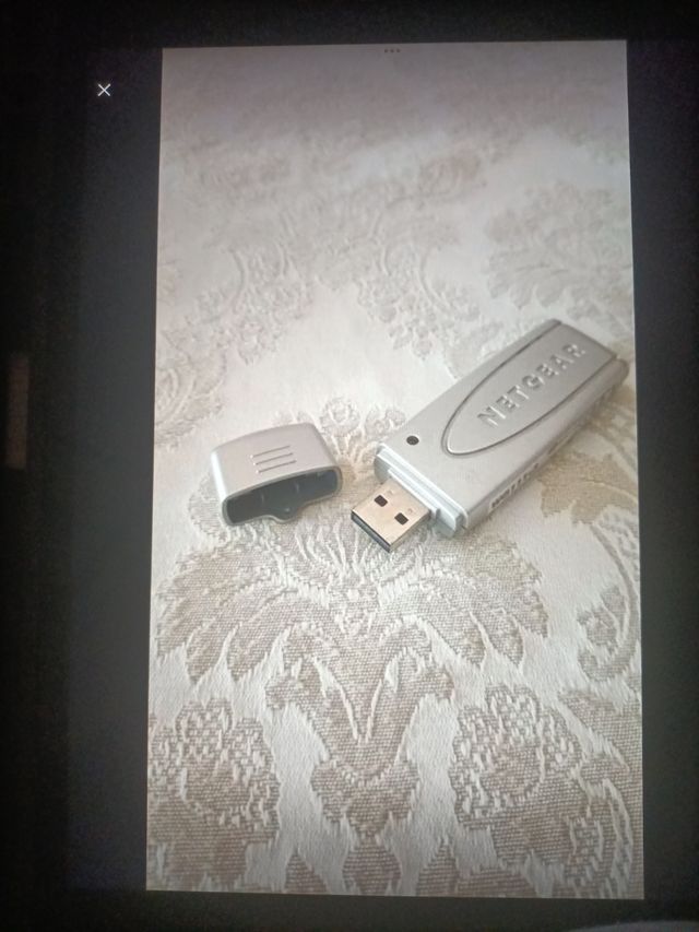 Netgear Antenna WG111V3 adattatore USB 