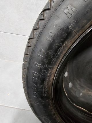 Rueda Galleta Renault Scenic 135/80R17