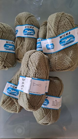 10 gomitoli di lana made in Italy Wilmahildar