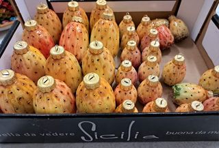 Palle di natale a fico d'india