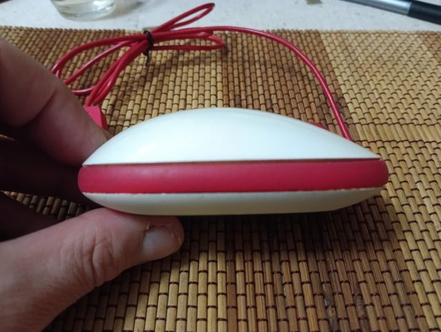 Microsoft Mouse.