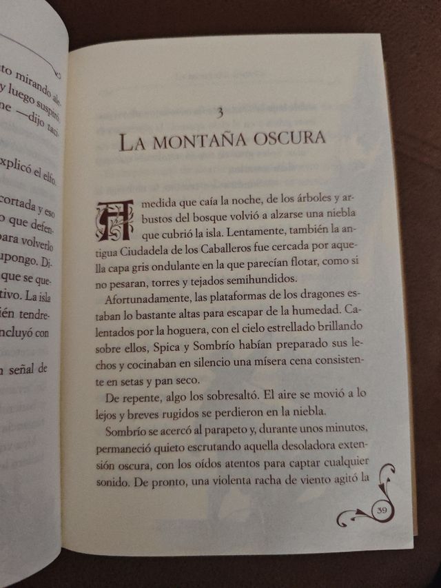 El secreto de los caballeros: Crónicas del Reino de la Fantasía 6