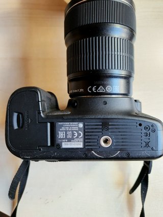 CANON 6D + Objetivos 24-105mm / 75-300mm