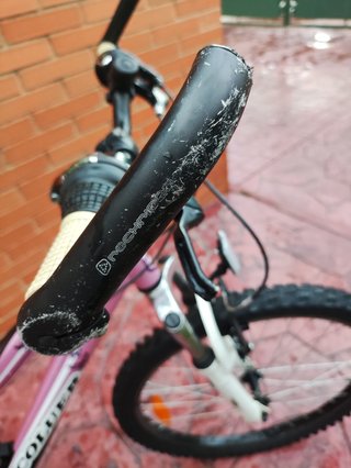 Bicicleta Lucy Coluer 240
