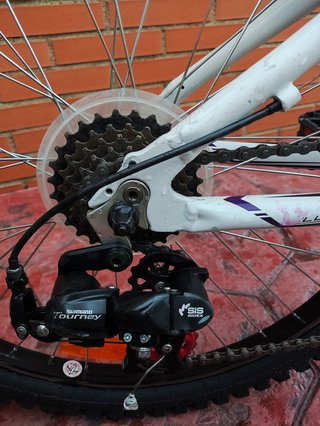 Bicicleta Lucy Coluer 240