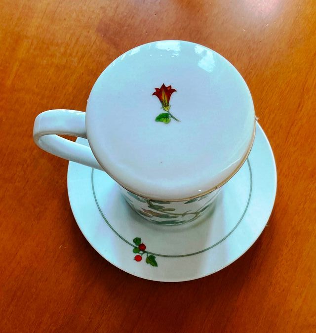 Servizio Tisana x 2 della Aboca