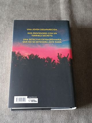 Holly de Stephen King 