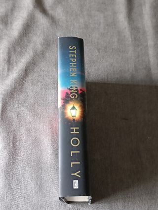 Holly de Stephen King 