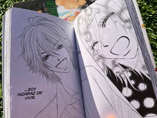 Pack 2 manga “Instituto Bijinzaka” Mayumi Yokoyama