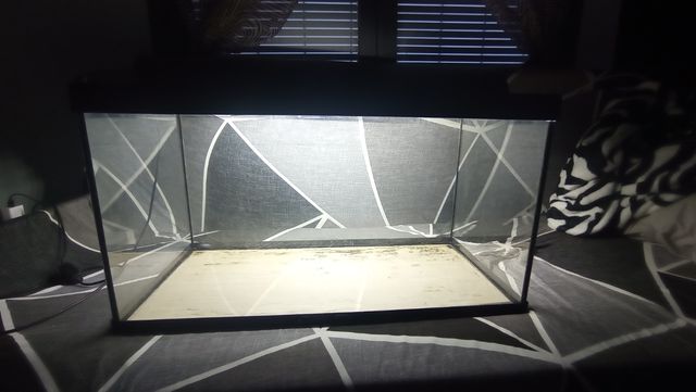 Acuario con luz + Decoración + Calentador