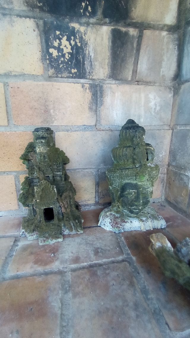 Acuario con luz + Decoración + Calentador