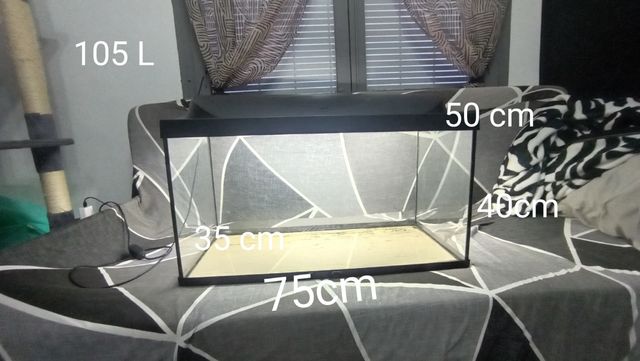 Acuario con luz + Decoración + Calentador