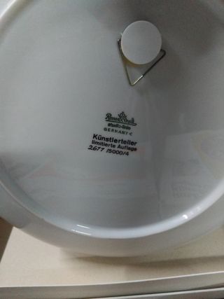 Collezione piatti Rosenthal