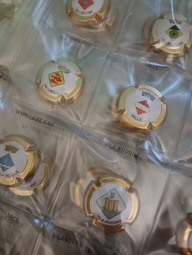 COLECCIÓN DE CHAPAS 