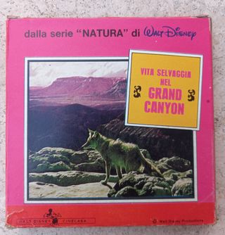 Pellicola 8mm Disney anni 70