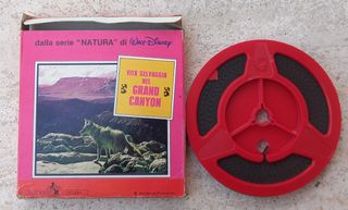 Pellicola 8mm Disney anni 70