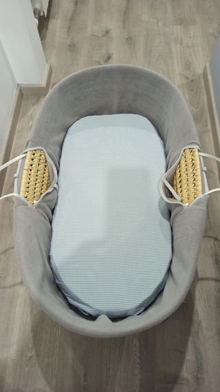 Moisés de Mimbre con estructura