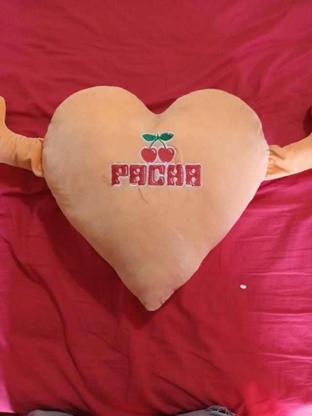 Cojin de discoteca pacha