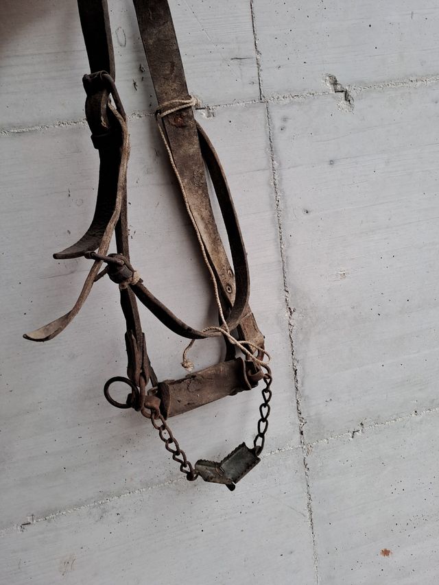 Capezza antica muli cavalli