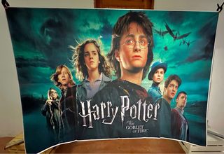 Panel Harry Potter