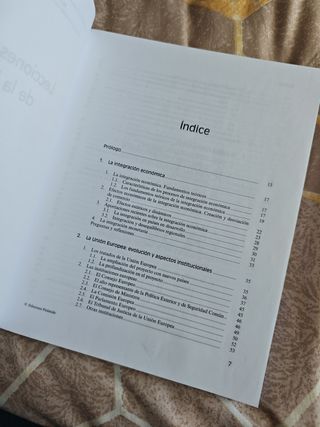 Lecciones de Economía de la Unión Europea