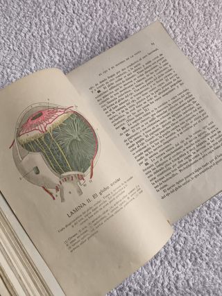 LIBRO GUÍA DE LA SALUD FEDERICO ROSSITER AÑO 1930