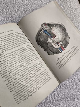 LIBRO GUÍA DE LA SALUD FEDERICO ROSSITER AÑO 1930
